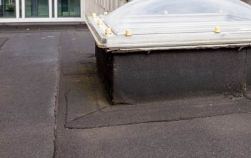 disadvantages of East Martin flat roofs