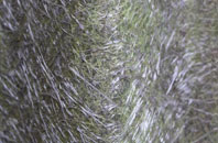 East Martin fibreglass roof work